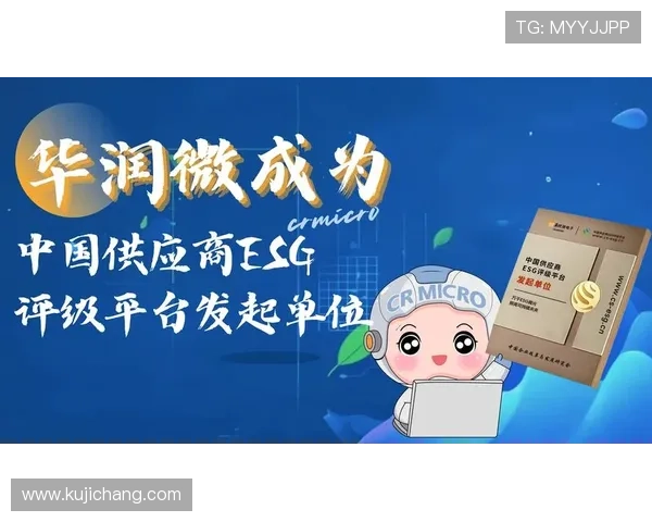 放心选择凯时ag旗舰厅官网,体验最强大可靠的游戏技术支持与多样化支付方式安排