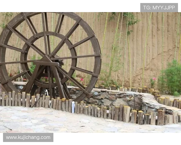 万利真人最新优惠活动汇总获取丰富奖励提升游戏乐趣体验 万利真人最新优惠活动汇总获取丰富奖励提升游戏乐趣体验